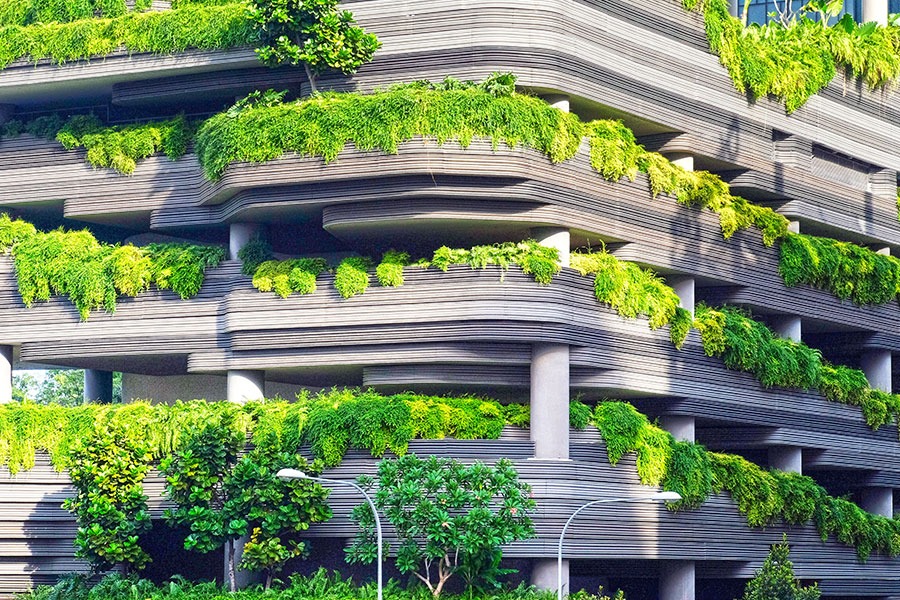 A building covered with overgrown trees and plants