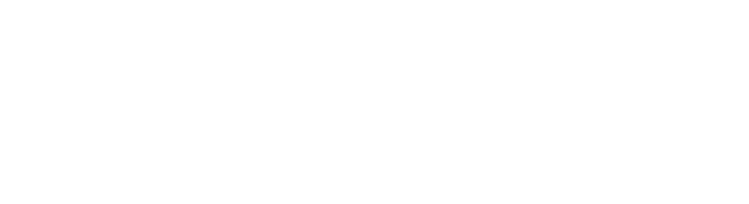 CEMS Program Logo - White